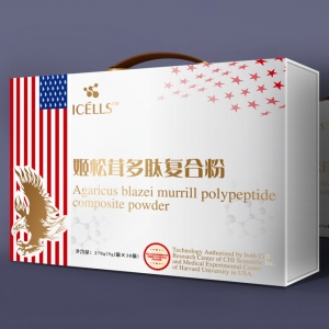 歐美風格